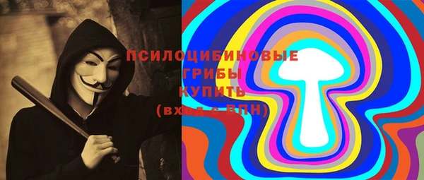 стаф Алексин