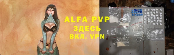 амф Новодвинск